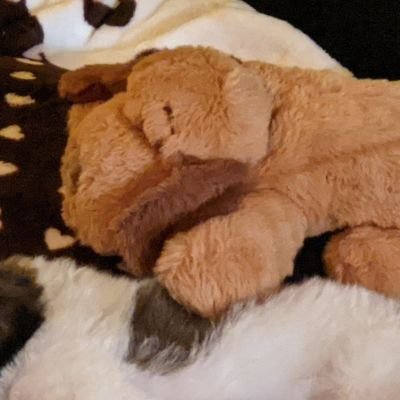 sapphy7's profile picture. 