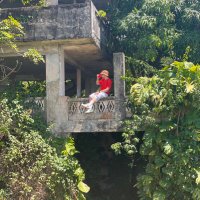 Flex (@flexx619) 's Twitter Profile Photo