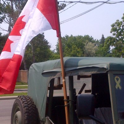 wpgiltis's profile picture. 