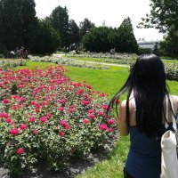 Shanny Foo (@shannyfoo) 's Twitter Profile Photo