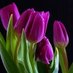 Josephine (@purple4_v) Twitter profile photo Josephine (@purple4_v) Twitter profile photo