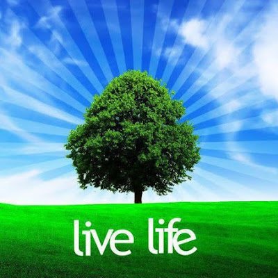 WilbertBrooks8's profile picture. 