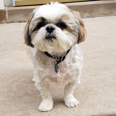 Cubbymom3's profile picture. Military Spouse