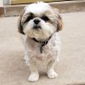 Cubbymom3's profile picture. Military Spouse