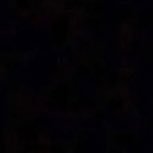 juarez6541's profile picture. 