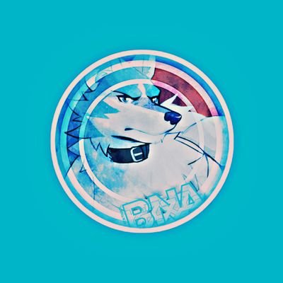 𝙎𝙝𝙞𝙧𝙤𝙪 𝙊𝙜𝙖𝙢𝙞 🐺(💙🤍)さんのプロフィール画像