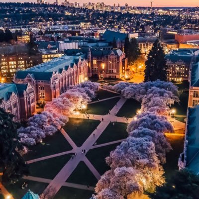 BshoeDawg's profile picture. 