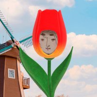 やまぐち (@ymgci__s82) 's Twitter Profile