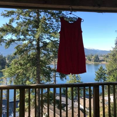 MclaraSadie's profile picture. 