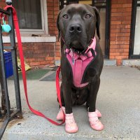 Karl's Girlfriend (@nomoreevictions) Twitter profile photo