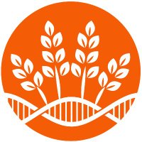 ARC Training Centre for Future Crops Development (@futurecropsau) 's Twitter Profile Photo ARC Training Centre for Future Crops Development (@futurecropsau) 's Twitter Profile Photo