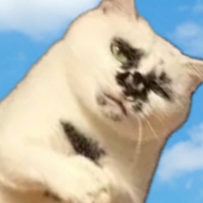 ylhllOl's profile picture. 20⬆️🇰🇷