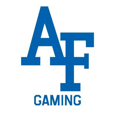 USAFA Gaming Profile