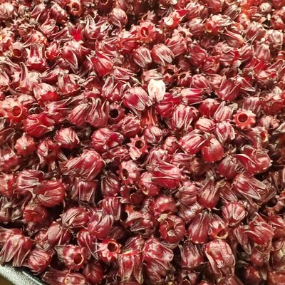 DJ89581274's profile picture. 