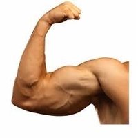 Boss Trung (@vnstrongmaster) 's Twitter Profile