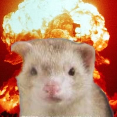 smashalant's profile picture. Steph || ok to req if friends but might not accept || Adults Only || sometimes I talk abt bad experiences but mostly I complain about work