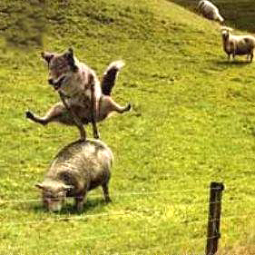 a_pontefract's profile picture. 