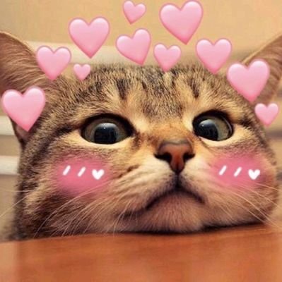 awwmaluww's profile picture. bukan rokok, karena ga sampoerna