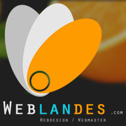Agence WEB
Création d'espace web sur mesure
Expert SEO
Hébergement, services web
Conduite de projets web