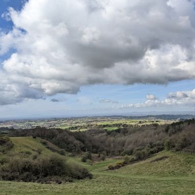 jowhiting's profile picture. 