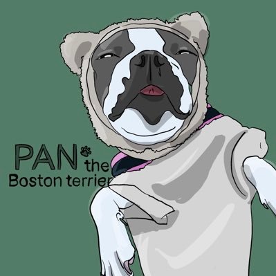 パンtheボストンさんのプロフィール画像