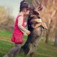 vinay kumar (@vinayku14296432) 's Twitter Profile Photo vinay kumar (@vinayku14296432) 's Twitter Profile Photo