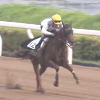 (`･ω･´)/★浦和競馬場★ 調馬師してます！！／／☆☆((気軽にFollow me☆(｡ゝ∀･)ゞﾖﾛｼｸｩ ☺︎☆☆☆☆『野口寛仁厩舎所属』 ☆夢は大きく。今出来る事をコツコツと。