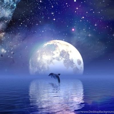 dhiwagaran's profile picture. Keep the positive momentum flowing