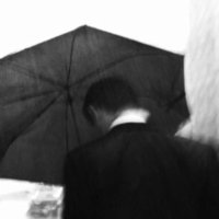 梵高先生-S (@o04e7qofcdlqzfk) 's Twitter Profile Photo