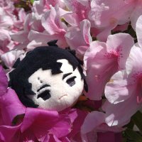 ぴい (@monch_79) 's Twitter Profile Photo ぴい (@monch_79) 's Twitter Profile Photo