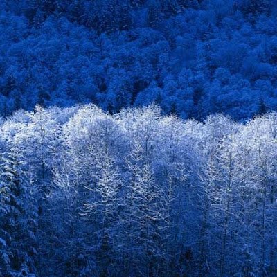 tuneromyalad's profile picture. 