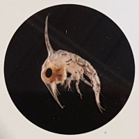 HerreMörker(@HerreMorker) 's Twitter Profile Photo HerreMörker(@HerreMorker) 's Twitter Profile Photo