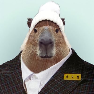 docapybara Profile Picture