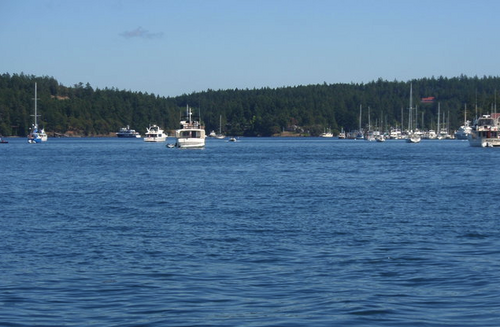 Example_b's profile picture. Twitter lover for life!