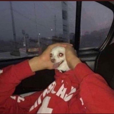 ekanszz's profile picture. :)