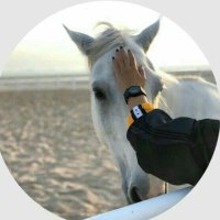Aisha (@yoosh_ad) 's Twitter Profile