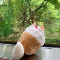 ぶろんしゅ (@blanche0423) 's Twitter Profile