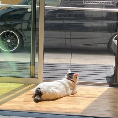 kt150518's profile picture. 息子と一緒に電車好きになってます。釣りも好きです。特にエギングにハマってます。トライトンGSR乗ってます！これからキャンプも始める予定！ピックアップトラックとキャンプ初めてなので界隈の方々よろしくお願いします(_ _)