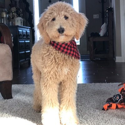 DustyMcfly18's profile picture. 