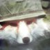 Orilas_ (@orilas_) Twitter profile photo Orilas_ (@orilas_) Twitter profile photo