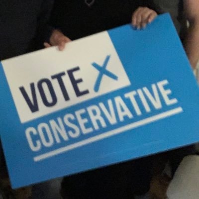 Conservatives working hard for Wanstead Village and Wanstead  Park