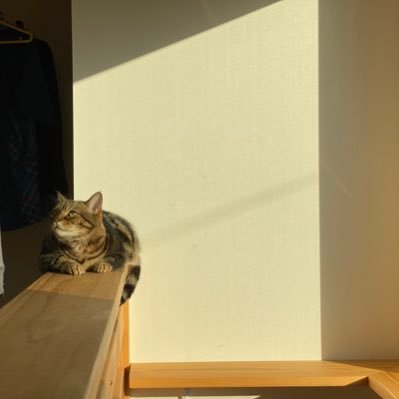 k___koba__tjk's profile picture. 21/7/6入籍💍