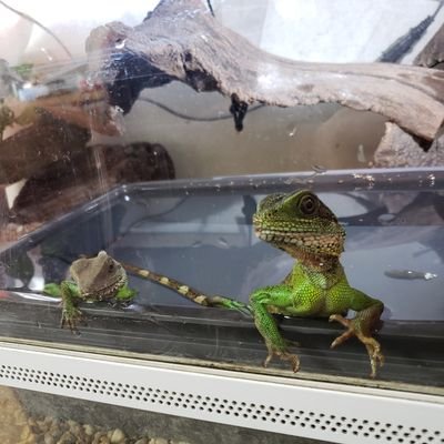 mozukuzukuzukv's profile picture. 