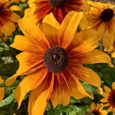 stringbeanbaby's profile picture. 