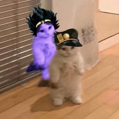 xSneqky's profile picture. □■□■□■□■□■□■