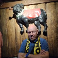 Miguel Colmenares (@miguellenu) 's Twitter Profile Photo