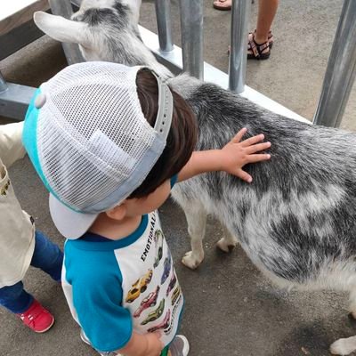 赤羽在住！3歳児の子育てしつつ、ロードバイクいじりが趣味(もうすぐ歴2年)【愛車:サーヴェロカレドニア5、WinspaceT1500マルチカラー、コーダーブルームSTRAUSS DISC FLAT10】お気軽にフォローして下さい。必ずフォロバします！