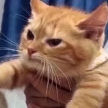 Lilliliff's profile picture. Wula