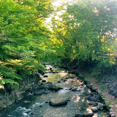 marsh_mello311's profile picture. 工学院大学大学院 工学研究科 機械工学専攻 修士2年