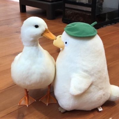 saecham7's profile picture. 컴퓨터과학과 2학년 / 디자인도 개발도 잘 하고 싶은 사람 🫠